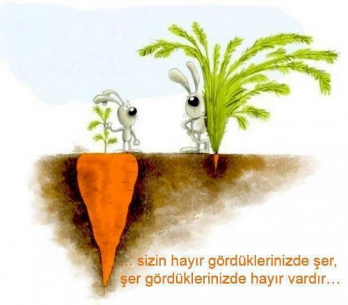 Allah Bilir Siz Bilemezsiniz