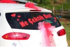 Ne �ektik Bee