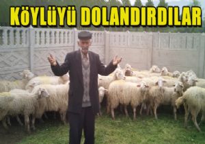 K�y�l�y� Doland�rd�lar