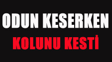 Odun Keserken Kolunu Kesti