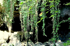 Ba�kan Yi�it Sar�kaya Ma�aras�n� Turizme A��yor